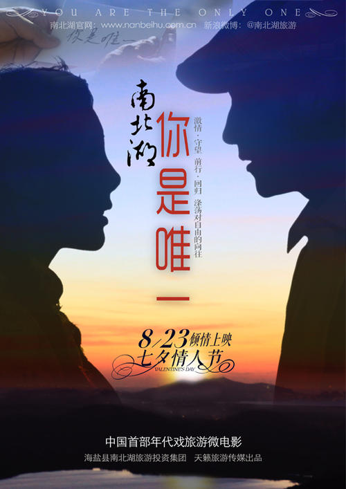 弗吉尼亚州驾驶证作假